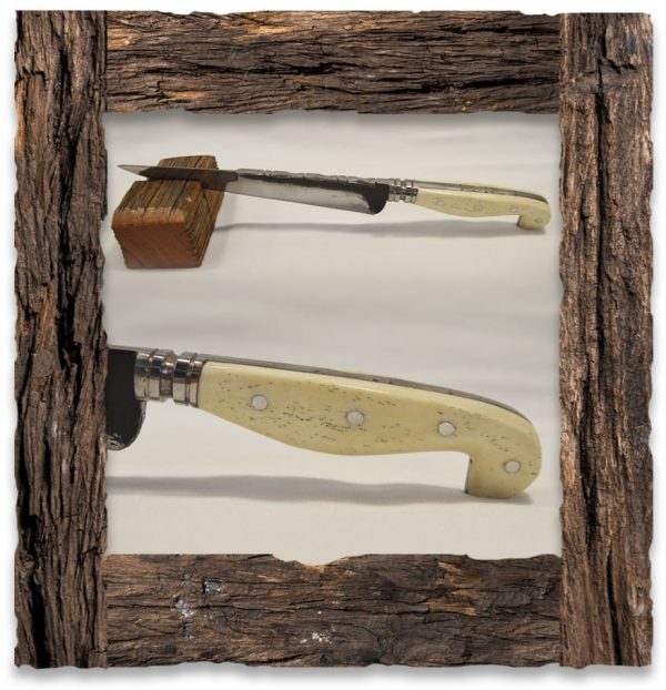 Cuchillo Mango de Hueso